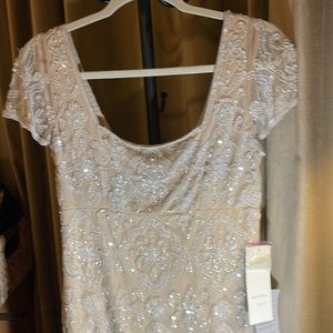 NWT embroidered party dress.